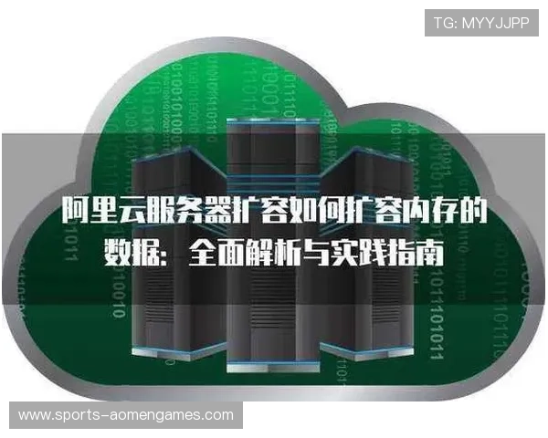 打造高效稳定的db真人对接系统，关键点解析与实践操作详尽指南